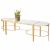 Gold Leaf Coffee Table Worlds Away Fnamcf3 3 Piece Gold Leaf Sabre Leg Coffee Table