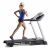 Golds Gym Bench Press Amazon Com Golds Gym Trainer 720 Treadmill Sports Outdoors