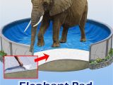 Gorilla Floor Padding for 18ft Round Amazon Com 12×18 Ft Oval Pool Liner Pad Elephant Guard Armor