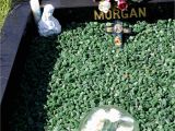 Gravesite Decoration Ideas Superb Gravesite Decoration Ideas Image Home Decor Ideas Home