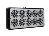 Grow Light Setup Apollo 10 Full Spectrum 750w Led Grow Light 10bands with Exclusive
