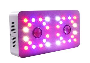 Grow Light Setup Double Switch Dimmable Sun Ii 1000w Cob and Double Chips Led Grow