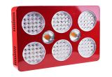 Grow Light Setup Mastergrow Double Switch Cree Cxa 2530 Cob and Double Chips 1800w