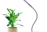 Grow Lights for Weed Led Grow Lights 5w Adjustable 3 Level Dimmable Clip Desk Lamp for