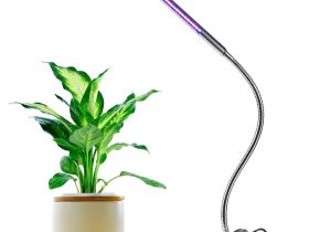 Grow Lights for Weed Led Grow Lights 5w Adjustable 3 Level Dimmable Clip Desk Lamp for