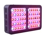 Grow Lights for Weed Mastergrow 600w Full Spectrum Led Grow Light with Veg Bloom Modes