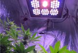 Grow Lights for Weed Pin by Maria Shaplin On Applied Mechanics Feed Pinterest