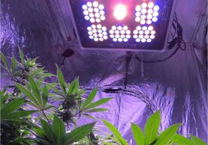 Grow Lights for Weed Pin by Maria Shaplin On Applied Mechanics Feed Pinterest