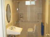 Handicap Bathtub Access Bathroom Enchanting Handicap Bathroom Design for Your