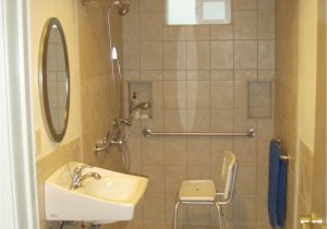 Handicap Bathtub Access Bathroom Enchanting Handicap Bathroom Design for Your