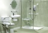 Handicap Bathtub Equipment Plumbing Service Piping Repining Professional Plumbers