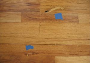 Hardwood Floor Crack Filler Wood Floor Techniques 101