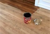 Hardwood Floor Installation atlanta Hardwood Flooring Los Angeles Podemosleganes