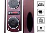Havit Punta Bull T1 Floor Standing Speakers – Black with Bluetooth Punta Bull T1 Floor Standing Speakers with Bluetooth Usb