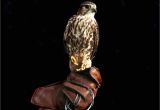 Hawk Merlin Floor Machine Birds Of Prey Bigger Picture Gallery