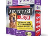 Heat Lamp for Dogs Tractor Supply Advecta 3 Tick Flea and Mosquito Repellent and Treatment for Large