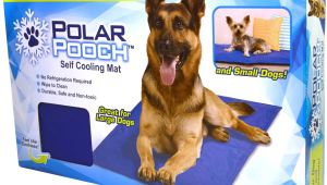 Heat Lamp for Dogs Tractor Supply as Seen On Tv Polar Pooch Cooling Mat Walmart Com