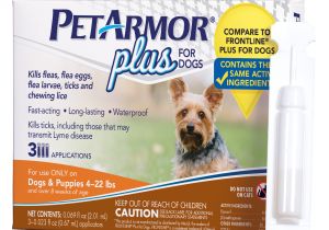 Heat Lamp for Dogs Tractor Supply Petarmor Plus Flea Tick Prevention for Small Dogs with Fipronil 4