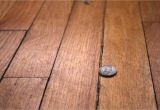Heated Hardwood Floor Diy How to Repair Gaps Between Floorboards