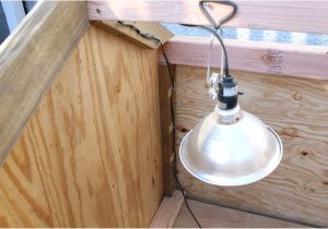 Heating Dog House Heat Lamp Lamp Automatic Chicken Coop Heater Dog House Heat Lamp Via Arduino