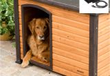 Heating Dog House Heat Lamp Lamp Heat Lamp Dog House Elegant Dog House Peaceably Heater Tan