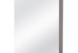Home Depot Medicine Cabinets with Lights Home Decorators Collection 22 In W X 27 3 4 In H Fog Free