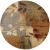 Home Depot Round Jute Rug Tayse Rugs Impressions Multi 5 Ft X 5 Ft Round Indoor area Rug