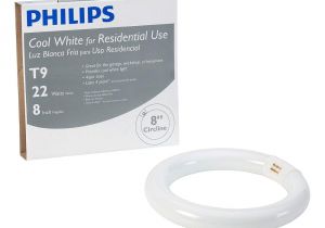 Home Depot T5 Lights Philips 22 Watt 8 In Linear T9 Fluorescent Light Bulb Cool White