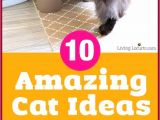 Home Remedies to Stop Cats From Scratching Furniture Cat Deterrent Home Remedies New Inspirational Home Reme S to Stop