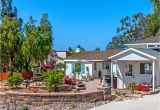 Homes for Rent In Encinitas Private Cottage Easy Walk Through the Park Vrbo