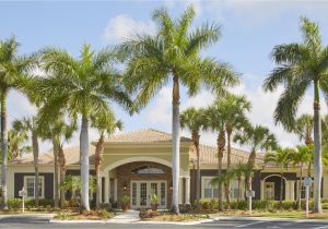 Homes for Rent In fort Myers Fl ashlar Apartment Homes fort Myers See Pics Avail