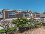 Homes for Sale In Palm Harbor Fl the Carrington Ml30643c Manufactured Home Floor Plan or Modular