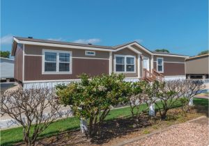 Homes for Sale In Palm Harbor Fl the Carrington Ml30643c Manufactured Home Floor Plan or Modular