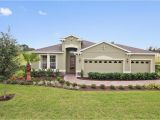 Homes for Sale In Riverview Fl Seagate Lucaya Lake Club Executive In Riverview