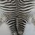 How Much Does A Real Zebra Rug Cost Www Lapco Co Nz Leather Suppliers Auckland New Zealand Genuine