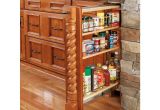 How to Build A Spice Rack Pull Out Appealing Pull Out Spice Cabinet 10 Anadolukardiyolderg