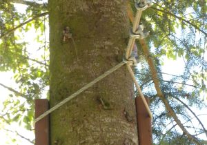 How to Build A Zipline In Your Backyard Best Directions On How to Build A Zip Line In the Backyard Garden