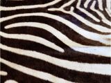 How to Clean A Real Zebra Rug 17 Best A Great Room Images On Pinterest Zebra Rugs Animal Prints