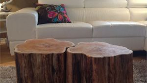How to Decorate A Large Round Coffee Table Stump Coffee Tables Serenitystumps Com Tree Trunk Tables Stump
