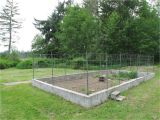 How to Keep Deer Out Of Garden Fishing Line Shocking Keep Fencing to Deer Out Of Garden Home Pic How Trend and