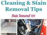 How to Remove Mold From My Car Interior 14 Best Car Cleaning Products Images On Pinterest Cleaning