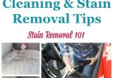 How to Remove Mold Stains From Car Interior 14 Best Car Cleaning Products Images On Pinterest Cleaning