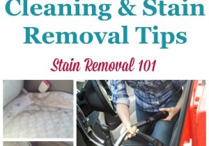 How to Remove Mold Stains From Car Interior 14 Best Car Cleaning Products Images On Pinterest Cleaning