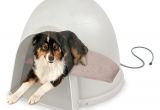 Igloo Dog House Heat Lamp Amazon Com Kh Pet Products Lectro soft Igloo Style Outdoor Heated