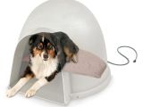 Igloo Dog House Heat Lamp Amazon Com Kh Pet Products Lectro soft Igloo Style Outdoor Heated