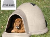 Igloo Dog House Heat Lamp Amazon Com Petmate Indigo Dog House with Free Dog Door Tan
