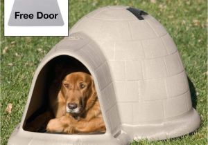 Igloo Dog House Heat Lamp Amazon Com Petmate Indigo Dog House with Free Dog Door Tan
