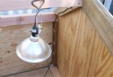 Igloo Dog House Heat Lamp Diy Double Door Dog House Intelligent Domestications