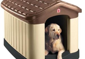 Igloo Dog House Heat Lamp Dog Houses Dog Carriers Houses Kennels the Home Depot