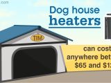 Igloo Dog House Heat Lamp Perfect Dog House Heater Guide to Protect Your Dog From the Cold